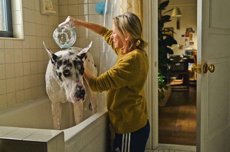Review: ‘The Friend’ Is More Than Man’s – Or Woman’s – Best Friend 38 032725 The Friend