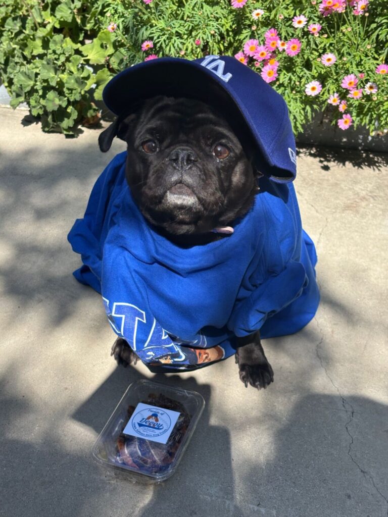 LA Dodgers Season Is Here - Where to Eat, Drink And Stay 39 LA Dodgers