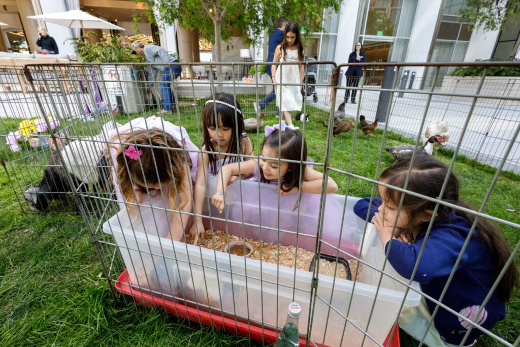 The Ultimate Easter Guide 43 Easter