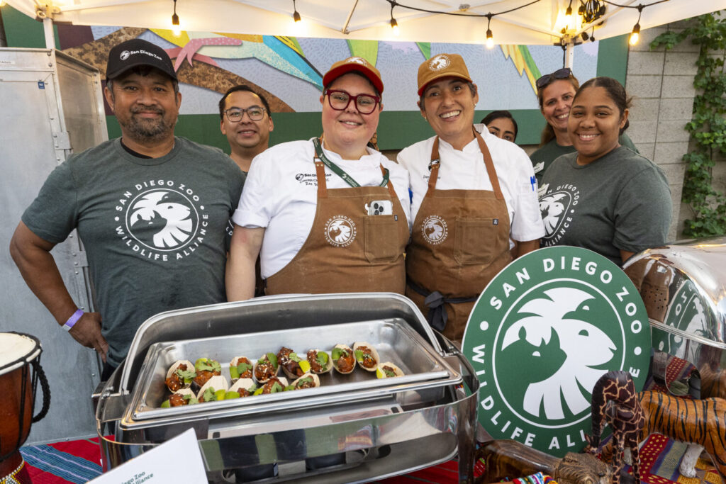 What’s Popping Up? Anteaters at The San Diego Zoo Food, Wine & Brew and more 39 San Diego Zoo