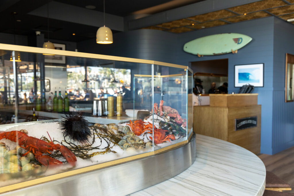 Allen Sanford Is Preserving Beach Life And Surf Culture In The South Bay 40 South Bay