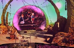 Feinblatt Dead 5
