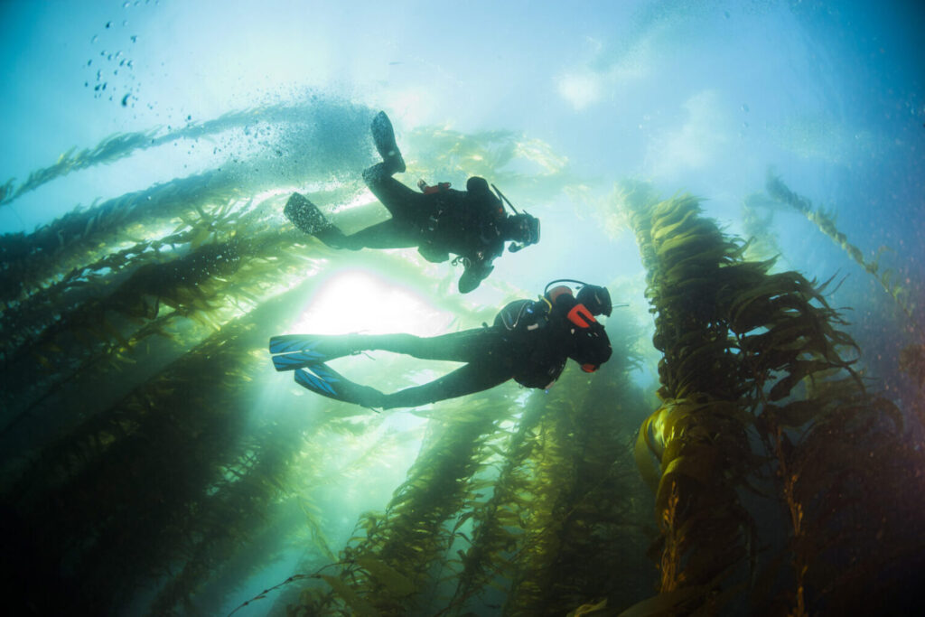 Kind Traveler Launches 'Every Adventure Gives Back' Program on Catalina Island 39 Catalina Island