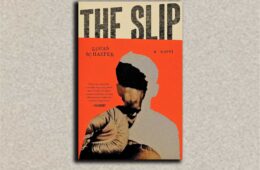 The Slip cover
