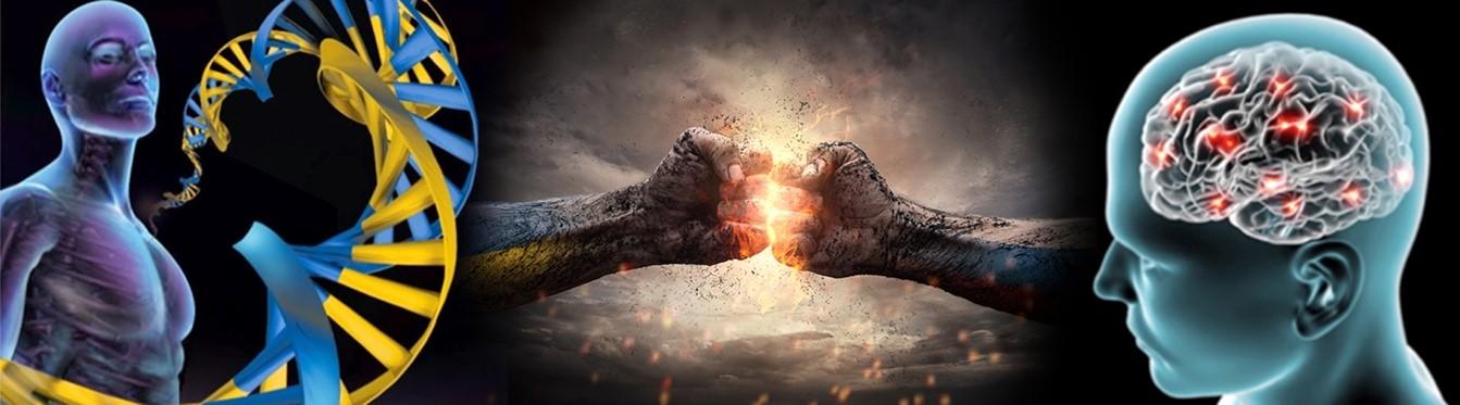 image 2 06 26 25 750