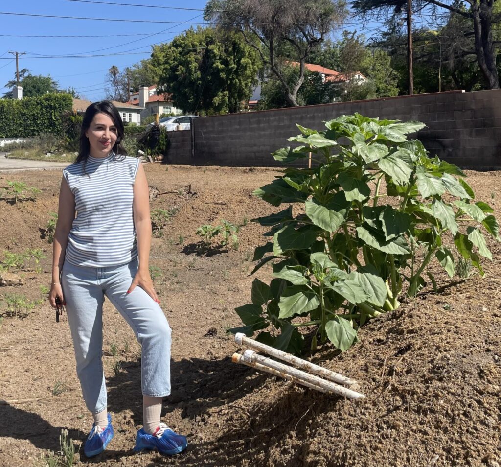 Rebuilding And Recovery: A Year After The California Wildfires 40 Soli Cooksey