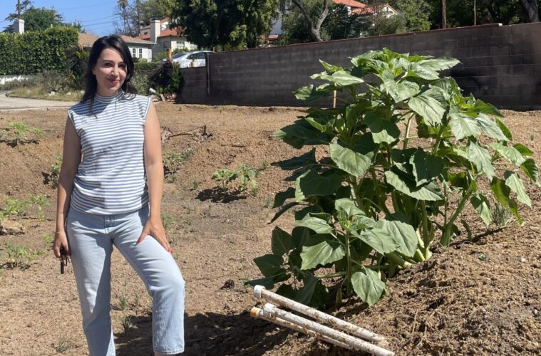 Soli Cooksey: When Life Gives You Ashes, You Plant Sunflowers 38 Soli Cooksey
