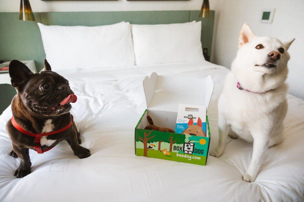 California Wine Month And National Doggie Day - Here’s What’s Popping Up 40 California Wine Month