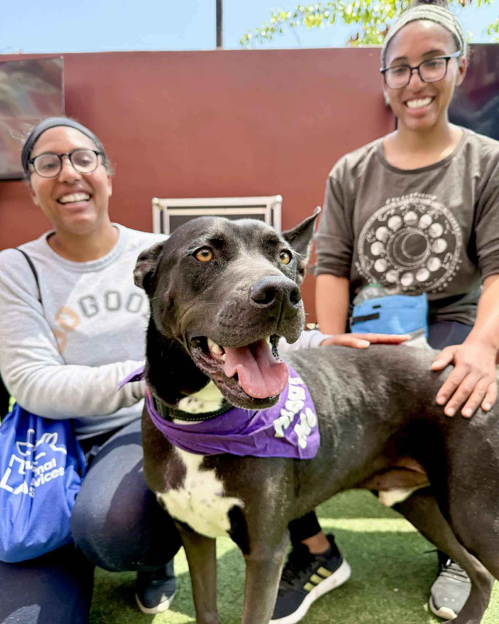 0579be4a8461b094ef456bdd70fd9f55