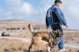 Screenshot 2025 09 29 at 6.59.52 PM