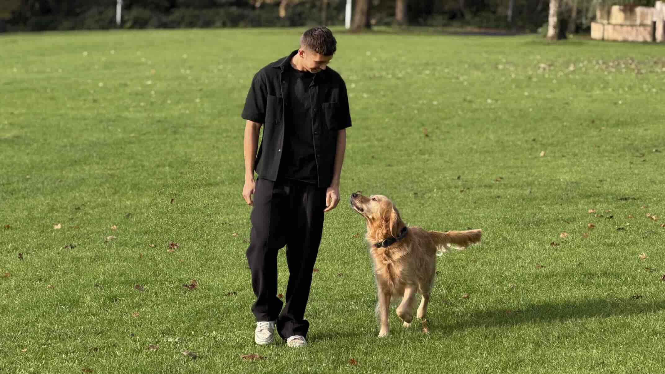 Jeremy Holland & Ella Coghill Transform Dog Rescue Storytelling: Building ‘The Golden Kobe Family’ Into a Global Phenomenon 38 Screenshot 2025 11 24 at 3.02.08 PM