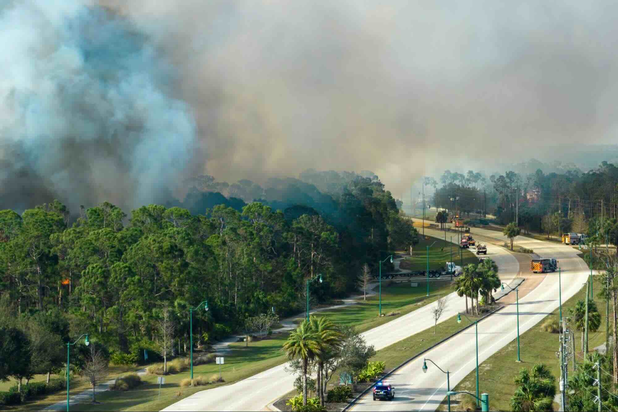 When Wildfire Season Turns Breathing Into a Challenge — Are You Truly Prepared? 37 image1 10 11 19 25