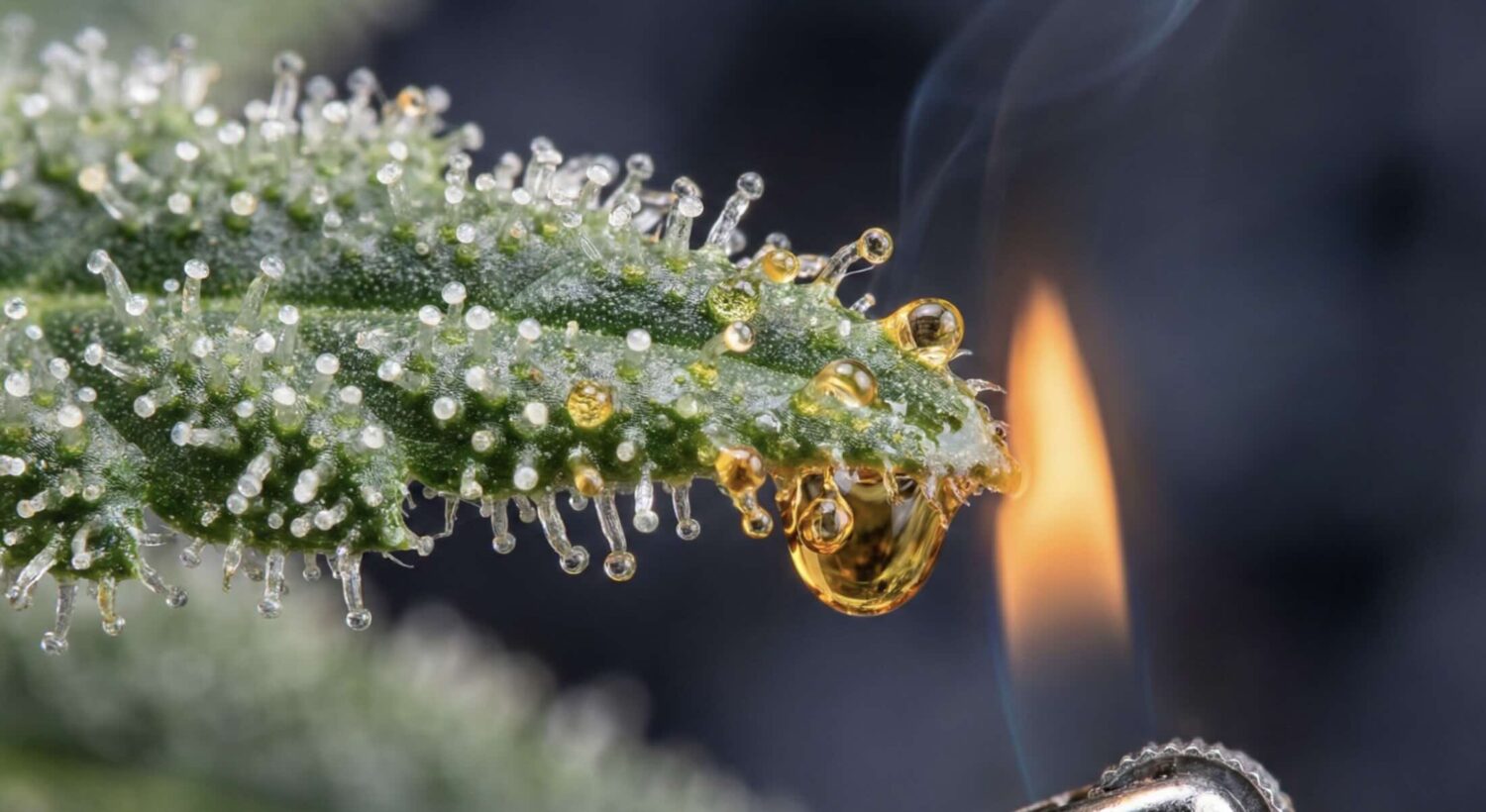 Billions Lost: How Out-of-State Cannabis Vendors Are Impacting California Dispensaries - Are Online Vendors Really Safer Than California Dispensaries? 38 Screenshot 2025 12 04 at 7.22.54 PM