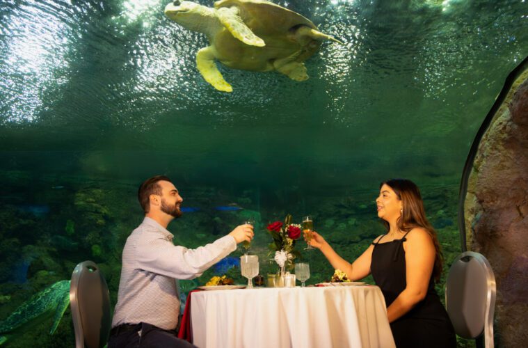 What’s Popping Up - The Valentine’s Day Edition 38 Valentine's Day