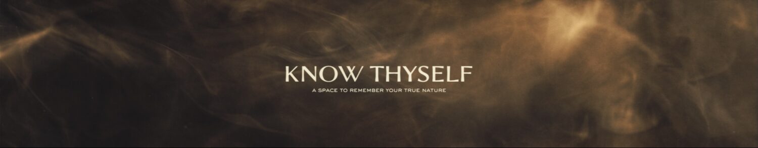The Motion Designer Making Know Thyself Look This Good 38 image2 know thyself