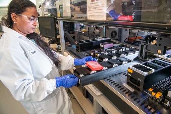 IMG 8068 02 12 26 310