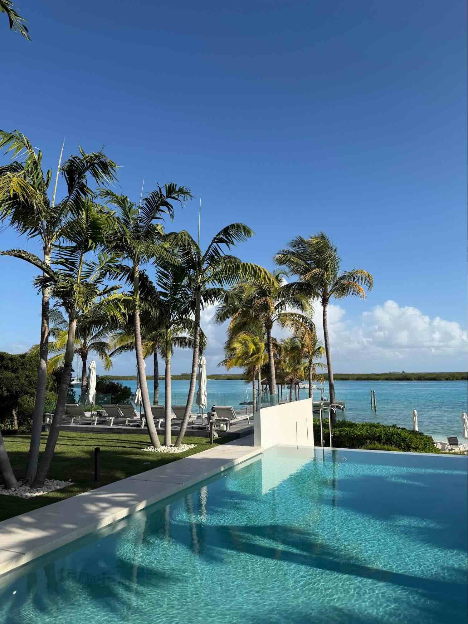 image2 Anddre Borchers