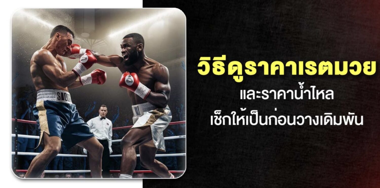 วิธีเลือก เว็บแทงมวย และ ขั้นตอนการ แทงมวยออนไลน์ ในปี 2026 51 Screenshot 2026 05 06 at 1.00.46 PM