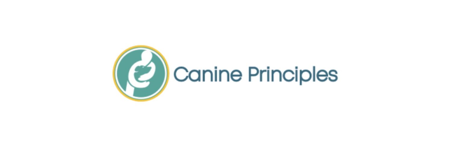 Best Online Dog Training Programs: 6 Courses Reviewed 38 Screenshot 2026 05 14 at 3.50.27 PM