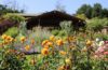 Descasno Gardens