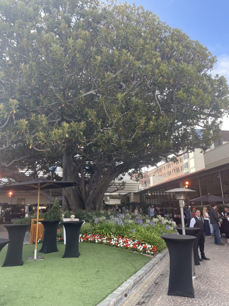 Hollywood On The Coast Food And Wine All Stars Converge Underneath The Fig Tree 39 Hollywood On The Coast Food And Wine