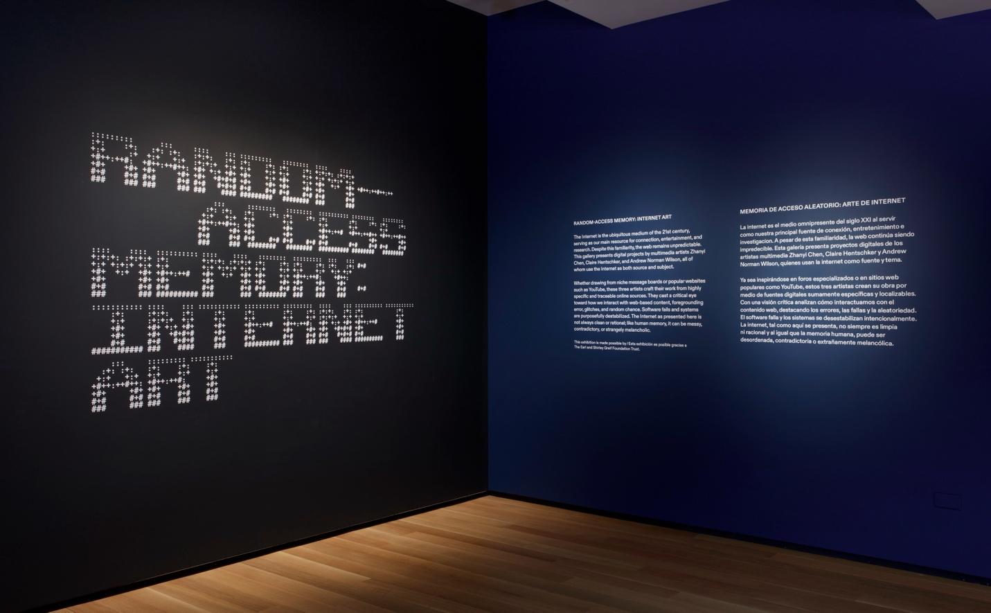 Reimagining Invisible Infrastructures: Zhanyi Chen and the Questions Behind Random Access Memory: Internet Art 38 image3 2 06 24 26 757
