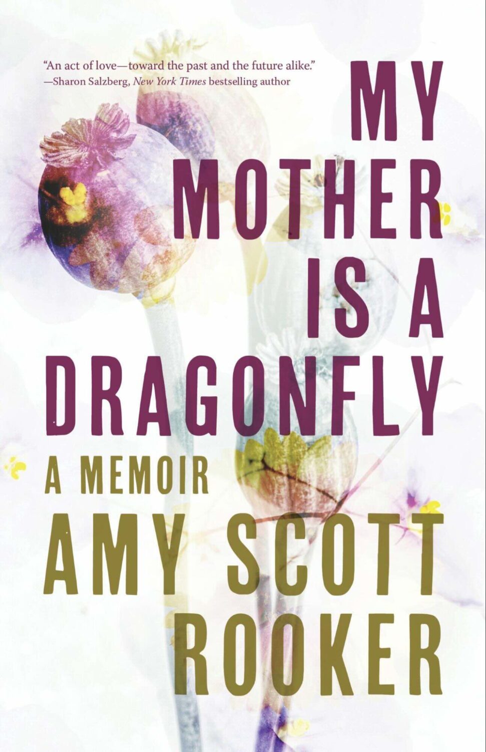 How Psychedelics Became the Catalyst for Amy Scott Rooker's Trauma Healing Journey 38 Amy Scott Rooker 3