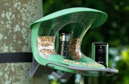 Smart Birdwatching in Your Los Angeles Balcony: How Technology Can Help Busy City Dwellers Rediscover the Joy of Nature 38 Birdfy