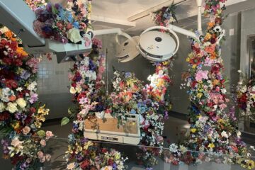 Hospital of Emotions