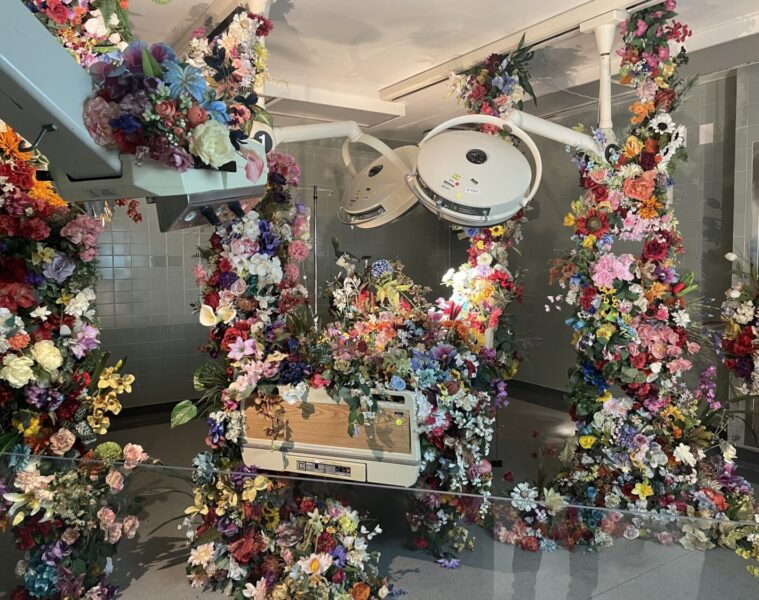 Hospital of Emotions