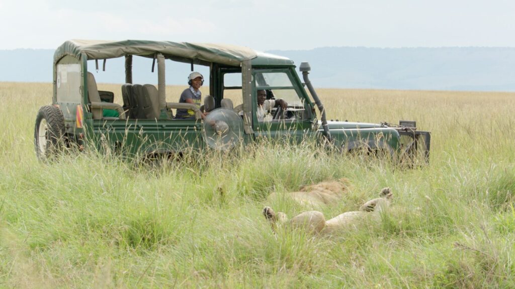 In Jon Favreau’s Lion, The Animals Wrote The Story 42 Jon Favreau