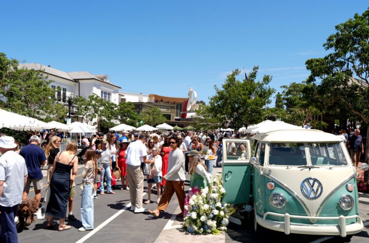 Palisades Village