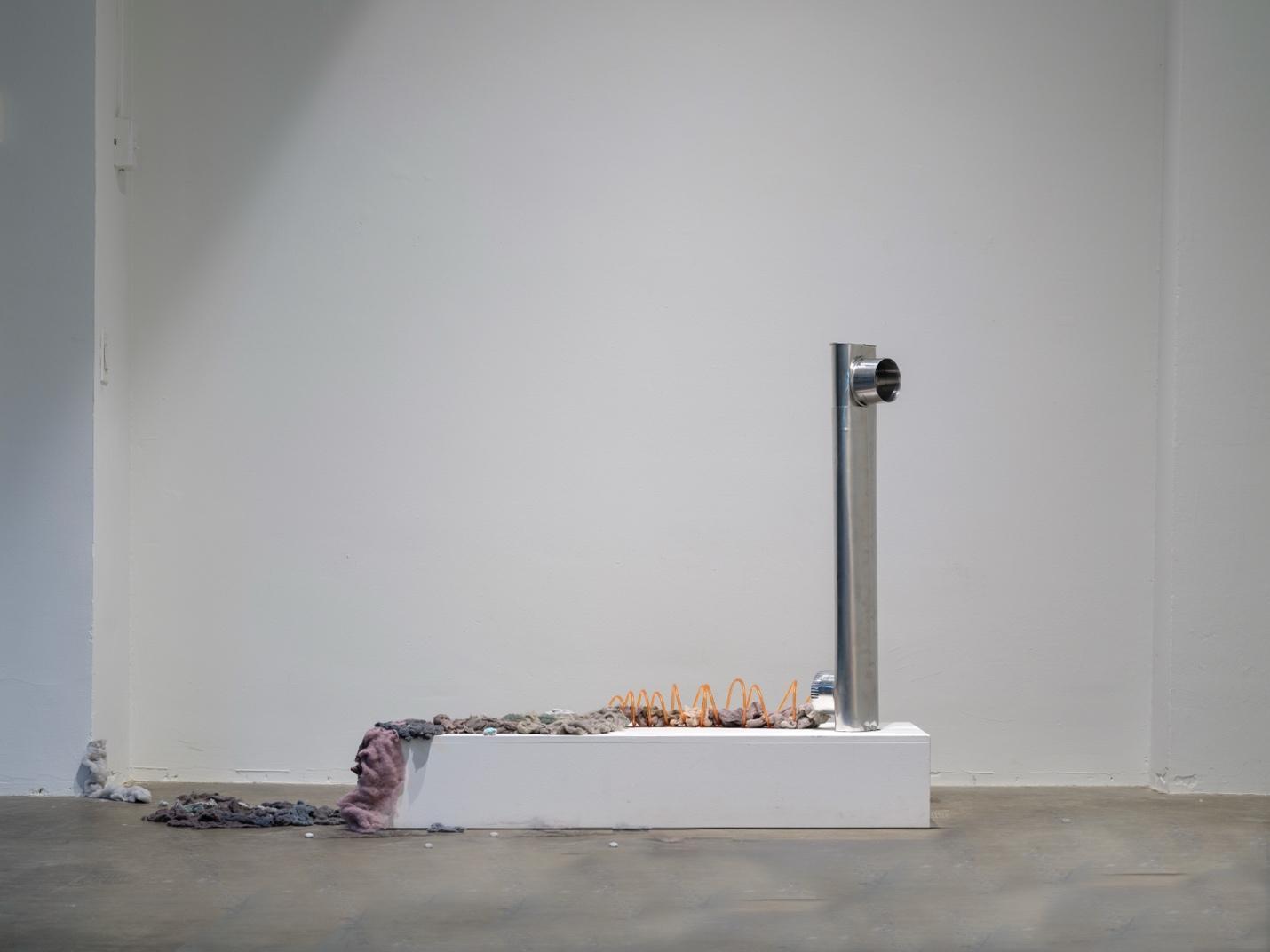 Chinning Liu: We are Both Contemplative Witnesses and Participative Collaborators. 40 Chinning Liu 1