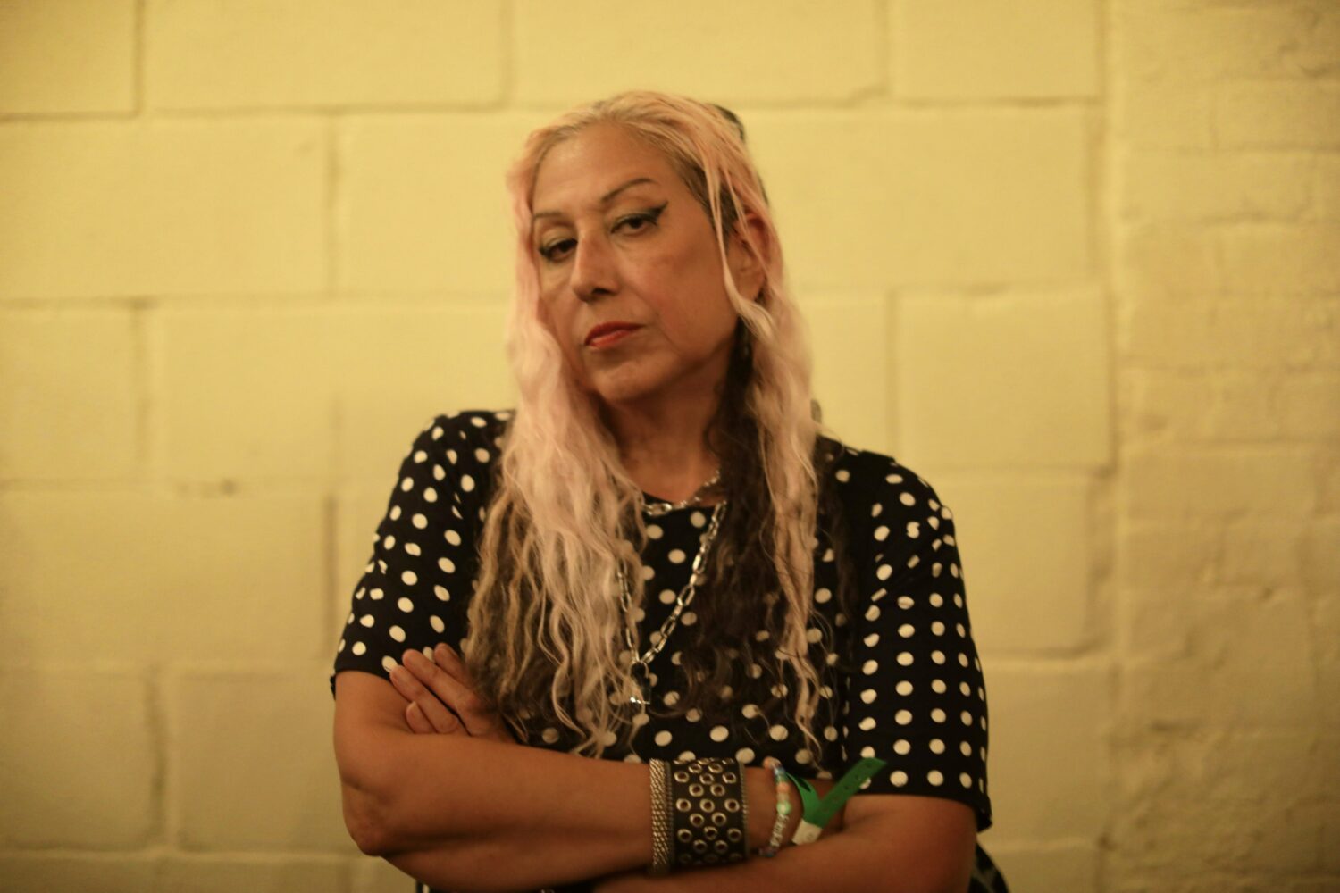 Alice Bag Retires Her Band but Not Her Rage: The Chicana Punk Legend Celebrates the End of the Alice Bag Band Era but the Fight Continues 42 Alice Sardine 2 Alfonso Choji Itosu Romero