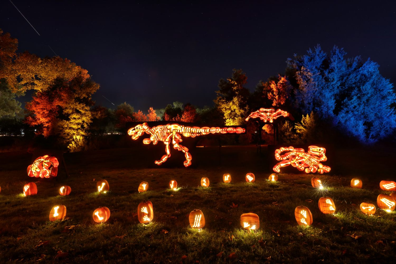 Your Guide to the Best Halloween Events in Los Angeles 2026 44 Night Of The Jack 3
