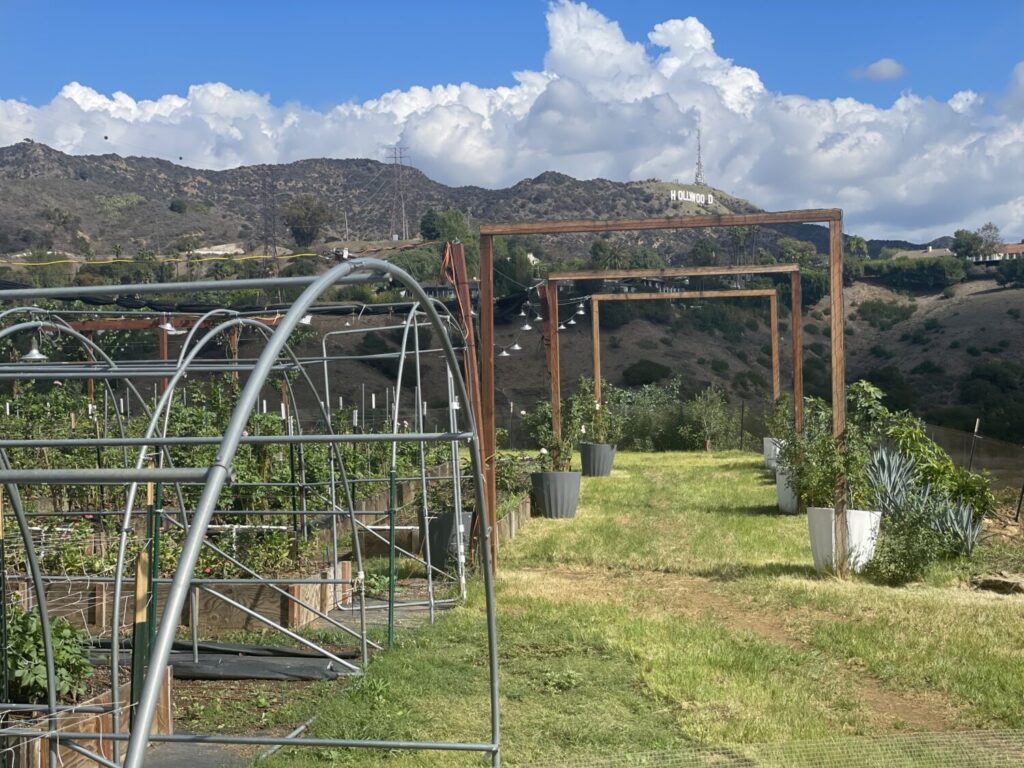 Mulholland Estate